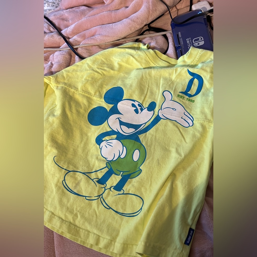 Disney spirit jersey